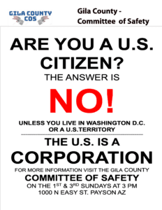 Citizen Flyer. (Fleming) 11_2023 (2)