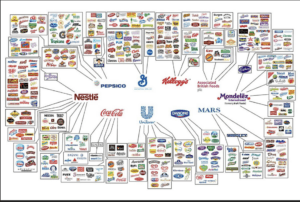 Large Corporations Own Every Product We Use Today - Join The Tomahawk Switch!