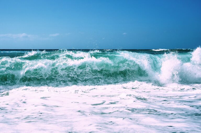 tide, we the people, remedy